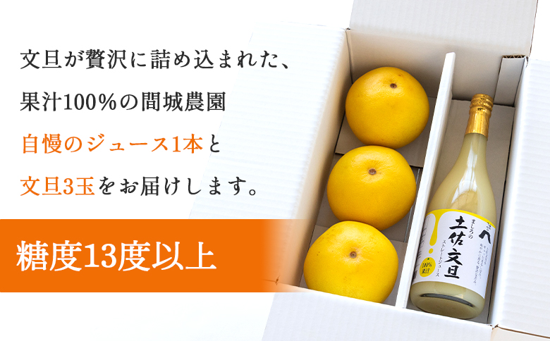 土佐文旦ジュース 720ml×1本＆文旦 約1.5kg（3玉）- 送料無料 ぶんたん フルーツ 果物 くだもの 柑橘 国産 果実 果汁100％ ドリンク 飲み物 山のてっぺん間城農園 糖度13度以上 高知県 香南市 ms-0070