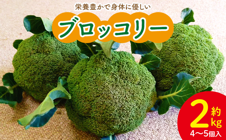 栄養豊かで身体に優しいブロッコリー 約2kg 4～5個入り - 野菜 やさい 産地直送 国産 旬 朝採れ 新鮮 サラダ スープ シチュー 弁当 おかず 便利 料理 簡単調理 冷凍保存可 高知県 香南市 常温 sy-0010