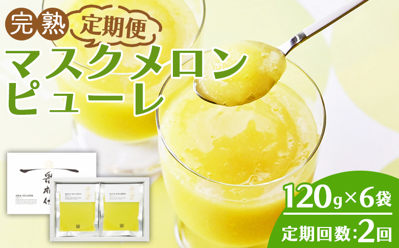【2回定期便】完熟マスクメロンピューレ 120g×6袋 - JALファーストクラス機内食に採用 果物 くだもの フルーツ めろん 果汁100％ まるごと アイス シャーベット デザート スイーツ 篤農 高知県 香南市 冷凍 Wtn-0030
