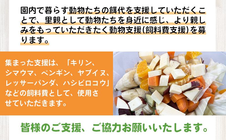 【返礼品なし】高知県立のいち動物公園 動物支援(飼料費支援) 10,000円 ni-0006