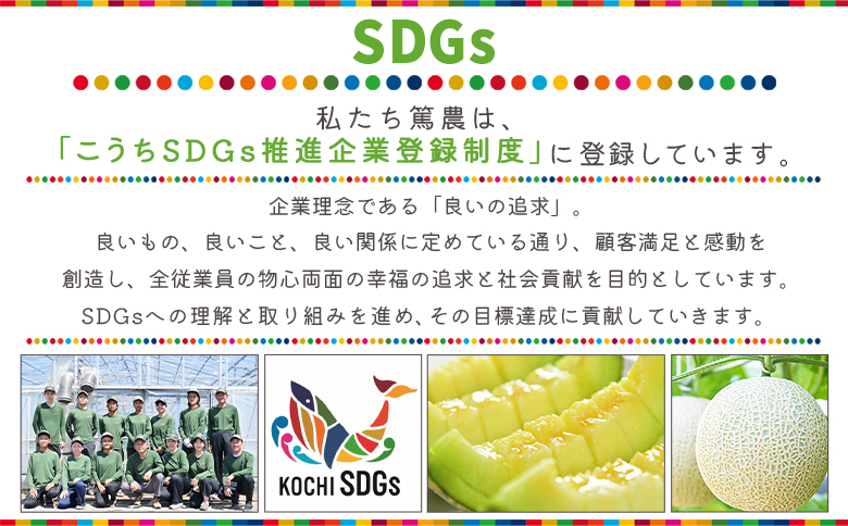 【3回定期便】メロンジュースのもと 約800ｇ 約165g×5パック - 国産 マスクメロン 完熟 飲み物 飲料 甘い フルーツジュース ジュース スムージー アレンジ カットメロン 果物 くだもの フルーツ めろん 篤農 高知県 香南市 冷凍 Wtn-0034