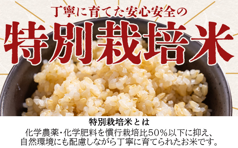 令和８年度産 玄米（特別栽培米）5kg - コシヒカリ こしひかり お米 こめ ご飯 穀物 お取り寄せ キロ ふっくら 冷めても美味しい 甘み お弁当 精米 国産 産地直送 こなつファーム 高知県 香南市 常温 ka-0001