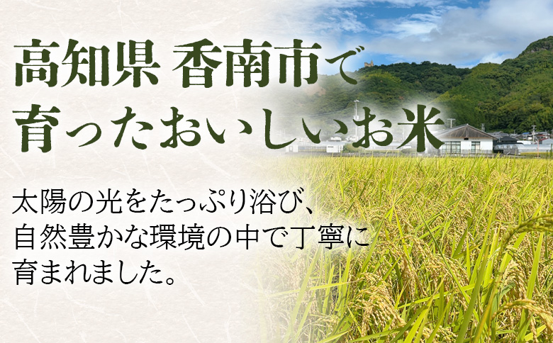 令和８年度産 玄米（特別栽培米）5kg - コシヒカリ こしひかり お米 こめ ご飯 穀物 お取り寄せ キロ ふっくら 冷めても美味しい 甘み お弁当 精米 国産 産地直送 こなつファーム 高知県 香南市 常温 ka-0001