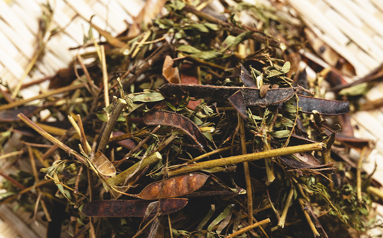 ããè±è¶ 30g 1è¢ - åœç£ ãè¶ é£²æ 飲ã¿ç© ããªã³ã¯ ããã€ã®æé äŒæ© ãã£ã±ã ããè± ãè¶ã£è è¶è èªå®¶è£œ éŠåããããå é«ç¥ç éŠååž åžžæž© ke-0029