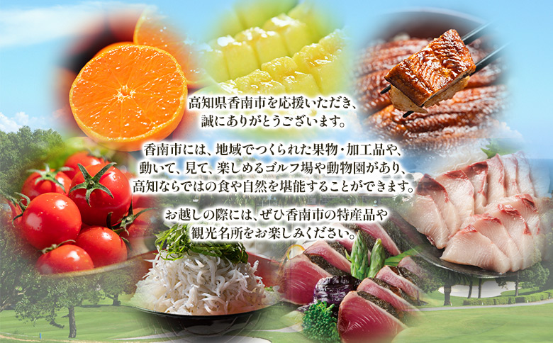 寄附のみの応援受付(返礼品はございません) 高知県 香南市 返礼品なし 寄付 ky-03