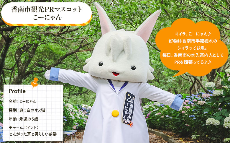 寄附のみの応援受付(返礼品はございません) 高知県 香南市 返礼品なし 寄付 ky-03