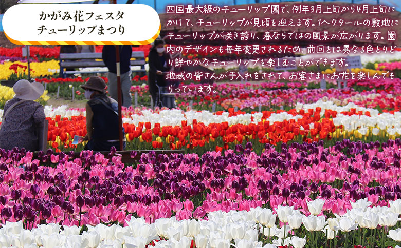 寄附のみの応援受付(返礼品はございません) 高知県 香南市 返礼品なし 寄付 ky-03