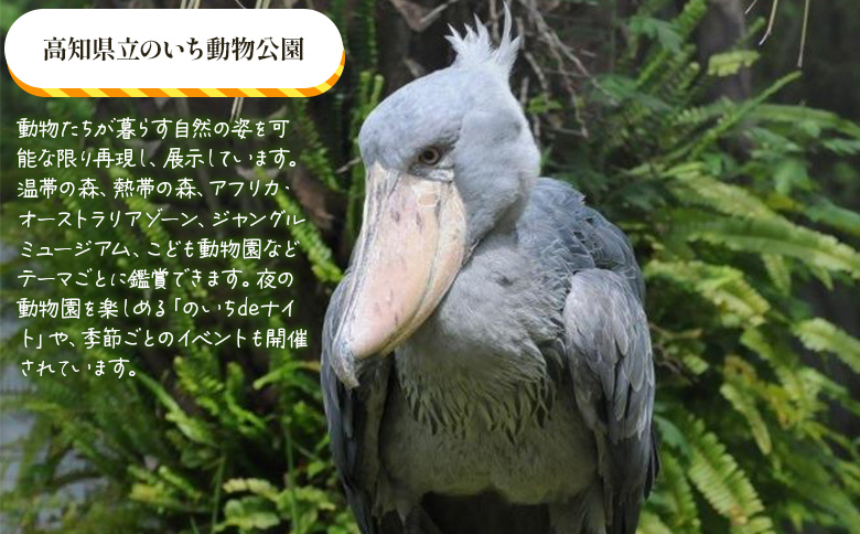 寄附のみの応援受付(返礼品はございません) 高知県 香南市 返礼品なし 寄付 ky-03