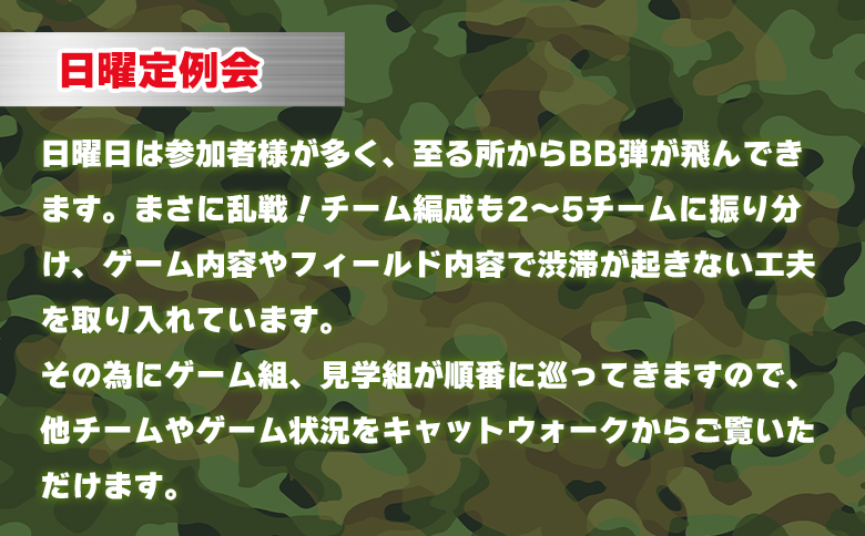 サバイバルゲーム 日曜定例会 チケット 高知フロンティアベース- サバゲー 体験チケット 券 レクチャー レンタル銃 ゴーグル BB弾 エアガン ガスガン 電動ガン 備品貸し出しあり 初心者歓迎 KFB 高知フロンティアベース 高知県 香南市 lo-0003