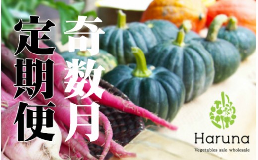 野菜【奇数月】定期便 香南市のお野菜詰め合わせコース　3L-20