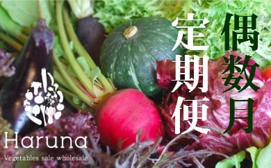 野菜【偶数月】定期便 香南市のお野菜詰め合わせコース　3L-19