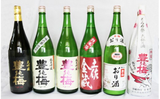 ６種類の日本酒飲み比べ 豊能梅セット1800ml×６本 M-7