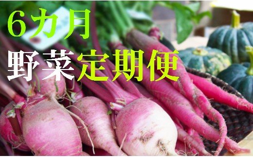 野菜【６カ月】定期便 香南市のお野菜詰め合わせコース　3L-21