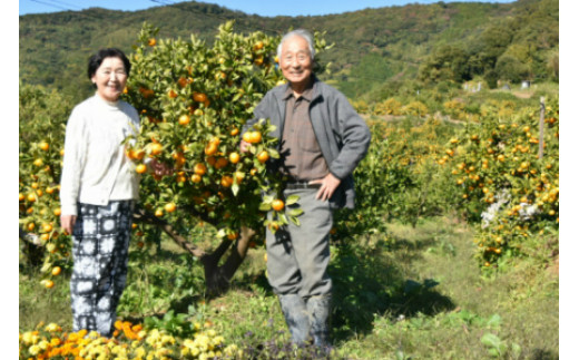 訳あり 山北みかん 約5kg eh-0037