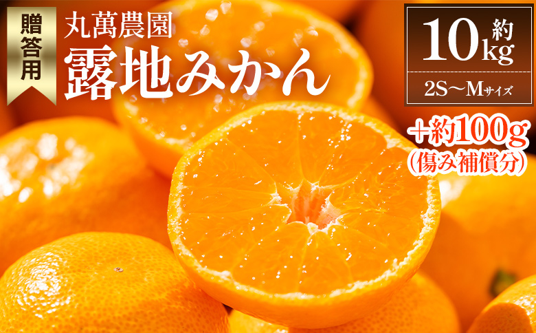 【2025年出荷分】露地みかん(2S～Mサイズ) 10kg＋約100g (傷み補償分) 贈答用 丸萬農園 - 果物 くだもの フルーツ 果実 柑橘 かんきつ 蜜柑 みかん ミカン 期間限定 ギフト 贈り物 プレゼント お祝い 感謝 お礼 高知県 香南市 常温 mn-0002