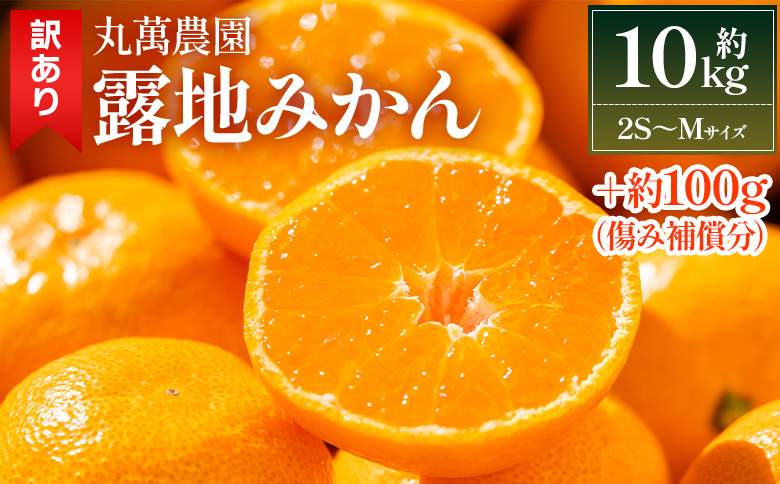 【2025年出荷分】訳あり 露地みかん(2S～Mサイズ) 10kg＋約100g (傷み補償分) 丸萬農園 - 果物 くだもの フルーツ 果実 柑橘 かんきつ 蜜柑 みかん ミカン 果汁 期間限定 家庭用 訳アリ キズ 傷 高知県 香南市 常温 mn-0005