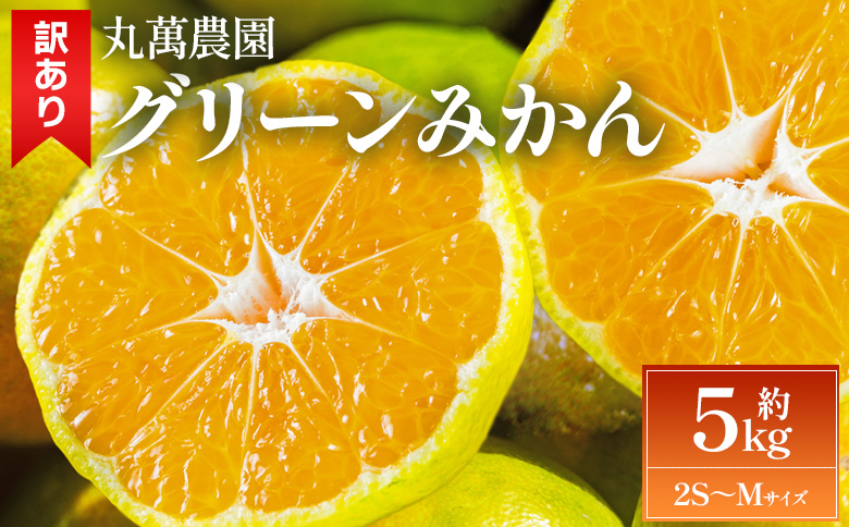 【2026年出荷分】グリーンみかん(2S～Mサイズ) 5kg 家庭用 - 訳あり 訳アリ品 ミカン 柑橘 爽やか 酸味 甘酸っぱい 蜜柑 キズ ご家庭用 ご自宅用 くだもの フルーツ 果物 果実 丸萬農園 高知県 香南市常温 mn-0016