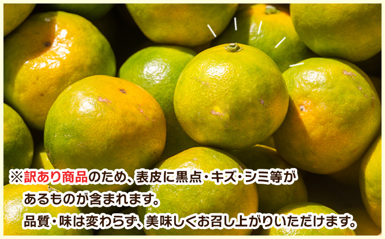 ã2026幎åºè·åãã°ãªãŒã³ã¿ãã(2SïœMãµã€ãº) 5kg å®¶åºçš - èš³ãã èš³ã¢ãªå ãã«ã³ ææ© çœãã é
žå³ çé
žã£ã±ã èæ ã㺠ãå®¶åºçš ãèªå®
çš ãã ãã® ãã«ãŒã æç© æå® äžžè¬èŸ²å é«ç¥ç éŠååžåžžæž© mn-0016