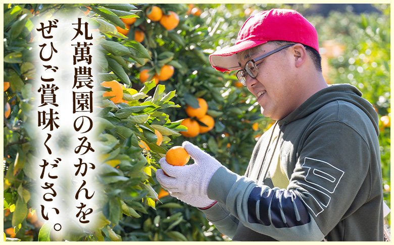 ã2026幎åºè·åãã°ãªãŒã³ã¿ãã(2SïœMãµã€ãº) 5kg å®¶åºçš - èš³ãã èš³ã¢ãªå ãã«ã³ ææ© çœãã é
žå³ çé
žã£ã±ã èæ ã㺠ãå®¶åºçš ãèªå®
çš ãã ãã® ãã«ãŒã æç© æå® äžžè¬èŸ²å é«ç¥ç éŠååžåžžæž© mn-0016