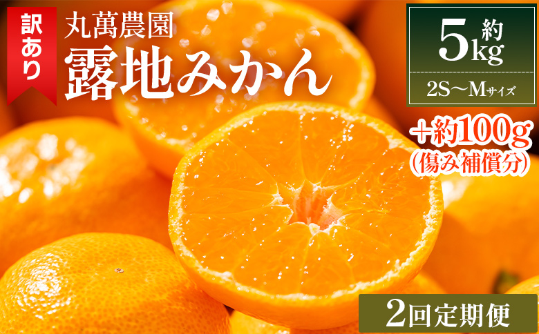 【２回定期便】露地みかん(2S～Mサイズ) 5kg 家庭用 - 果物 くだもの フルーツ 果実 柑橘 かんきつ 蜜柑 みかん ミカン 果汁 期間限定 訳アリ 家庭用 自宅用 キズ 傷 丸萬農園 高知県 香南市 丸萬農園 常温  Ｗmn-0017