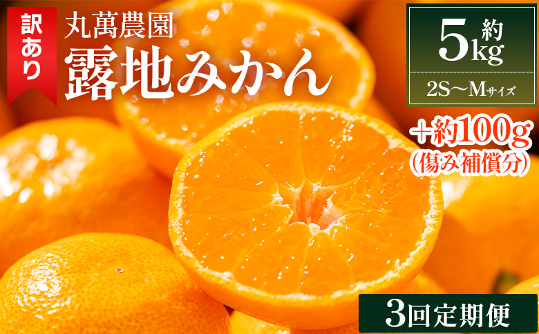 【３回定期便】露地みかん(2S～Mサイズ) 5kg 家庭用 - 果物 くだもの フルーツ 果実 柑橘 かんきつ 蜜柑 みかん ミカン 果汁 期間限定 訳アリ 家庭用 自宅用 キズ 傷 丸萬農園 高知県 香南市 丸萬農園 常温 丸萬農園 Wmn-0018