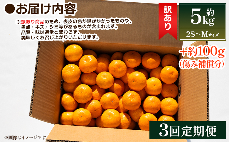 ãïŒåå®æäŸ¿ãé²å°ã¿ãã(2SïœMãµã€ãº) 5kg å®¶åºçš - æç© ãã ãã® ãã«ãŒã æå® ææ© ãããã€ èæ ã¿ãã ãã«ã³ ææ± æééå® èš³ã¢ãª å®¶åºçš èªå®
çš ããº å· äžžè¬èŸ²å é«ç¥ç éŠååž äžžè¬èŸ²å åžžæž© äžžè¬èŸ²å Wmn-0018