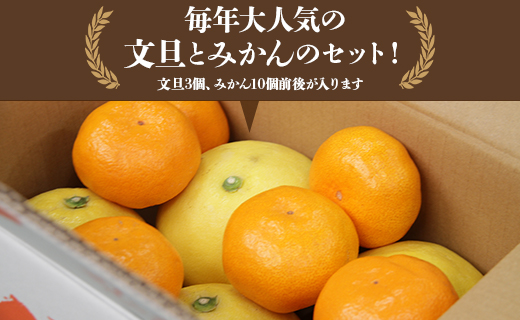 【先行予約】文旦とみかんのプチBOX 約3kg - 果物 くだもの フルーツ 柑橘類 ぶんたん ブンタン ミカン 詰め合わせ つめあわせ セット 食べ比べ お楽しみ お試し おいしい 特産品 間城農園 高知県 香南市 ms-0040