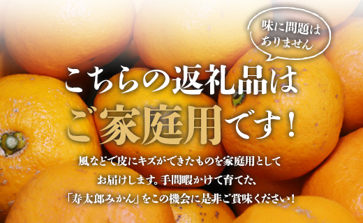 間城農園 甘い完熟みかん 寿太郎 (家庭用) 5kg - 果物 くだもの フルーツ 蜜柑 みかん じゅたろう 柑橘類 美味しい おいしい ジューシー フレッシュ みずみずしい 瑞々しい 数量限定 期間限定　洋酒 お酒好き 国産 飲み物 飲料 美味しい おいしい お祝い 御祝い 内祝い 記念日 結婚記念日 誕生日 バースデー パーティー ごほうび ご褒美 宅飲み 宅のみ 美味しい おいしい お取り寄せ おとりよせ お歳暮 お中元 お礼 御礼 お返し 感謝 アレンジ ホット 高知県香南市 常温 ms-0043