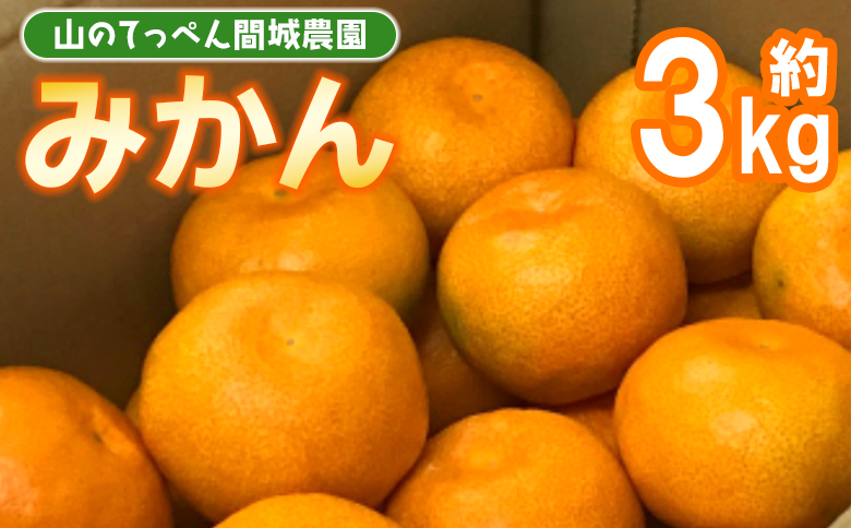 【数量限定】山のてっぺん 間城農園 みかん 約3kg - 送料無料 温州みかん ミカン 蜜柑 フルーツ 柑橘 果物 くだもの 甘い あまい おいしい 期間限定 配送日指定不可 高知県 香南市【常温】ms-0045