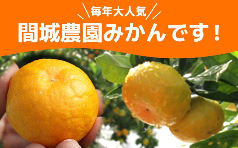 【数量限定】山のてっぺん 間城農園 みかん 約3kg - 送料無料 温州みかん ミカン 蜜柑 フルーツ 柑橘 果物 くだもの 甘い あまい おいしい 期間限定 配送日指定不可 高知県 香南市【常温】ms-0045