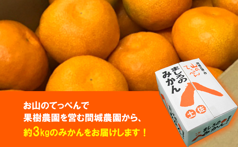 【数量限定】山のてっぺん 間城農園 みかん 約3kg - 送料無料 温州みかん ミカン 蜜柑 フルーツ 柑橘 果物 くだもの 甘い あまい おいしい 期間限定 配送日指定不可 高知県 香南市【常温】ms-0045