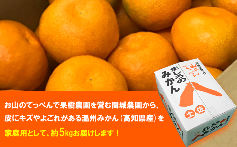 山のてっぺん 間城農園 みかん (家庭用) 約5kg - 果物 くだもの フルーツ 柑橘 温州みかん ミカン 送料無料 数量限定 期間限定 高知県 香南市【常温】 ms-0074