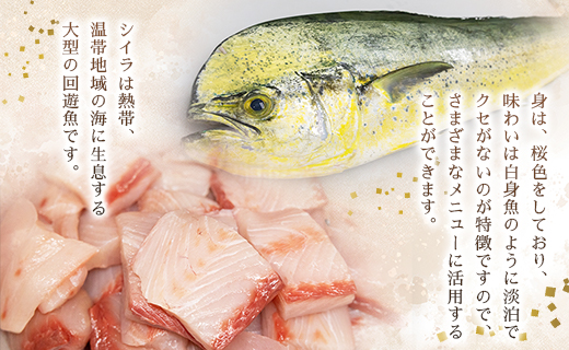 新鮮 シイラのすりみ(500ｇ×2)・団子(500ｇ) 合計1.5kg - すり身 しいら 魚 魚介 さかな 特産品 つみれ 練り物 惣菜 お鍋 おかず 手結港 国産 mt-0001