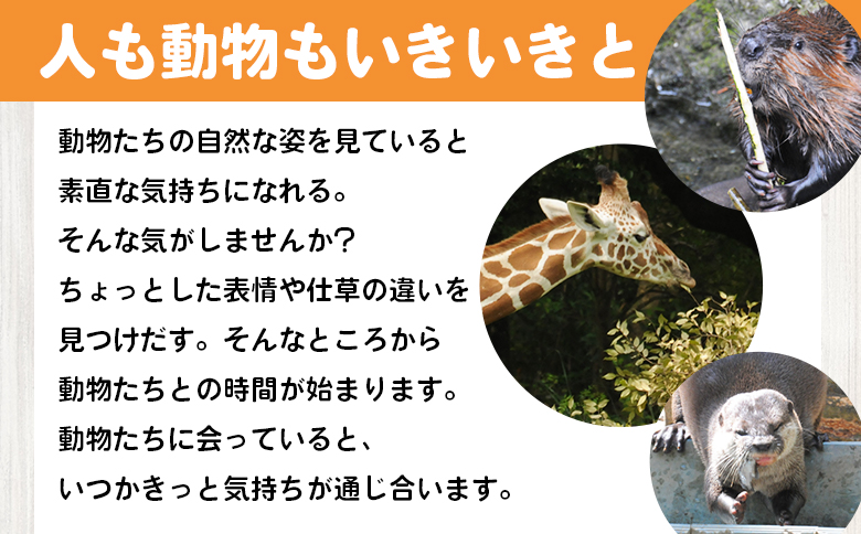 【返礼品なし】高知県立のいち動物公園 動物支援(飼料費支援) 30,000円 ni-0008