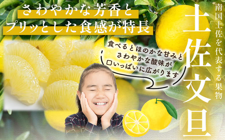 文旦 10kg 家庭用 混合（L〜2Lサイズ） 文旦 高知 訳あり - 国産 文旦 高知 訳あり キズ 不揃い ぶんたん ブンタン わけあり 5キロ 果物 柑橘 フルーツ 特産品 香南市 高知県 常温 nm-0002