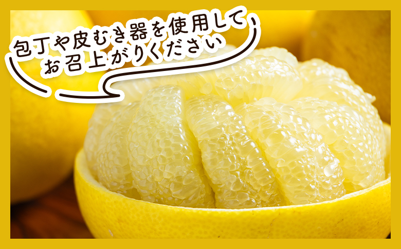 文旦 10kg 家庭用 混合（L〜2Lサイズ） 文旦 高知 訳あり - 国産 文旦 高知 訳あり キズ 不揃い ぶんたん ブンタン わけあり 5キロ 果物 柑橘 フルーツ 特産品 香南市 高知県 常温 nm-0002