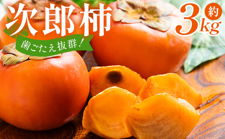 [2026年10月下旬より順次配送]次郎柿 3kg - くだもの 果物 フルーツ 柿 かき カキ 3きろ 3キロ 美味しい 高知県 香南市 nm-0003