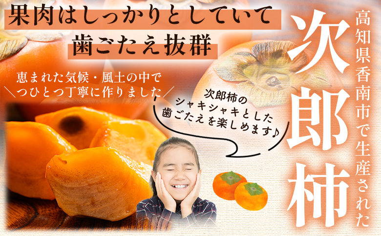 【2026年10月下旬より順次配送】次郎柿 3kg - くだもの 果物 フルーツ 柿 かき カキ ３きろ ３キロ 美味しい 高知県 香南市 nm-0003