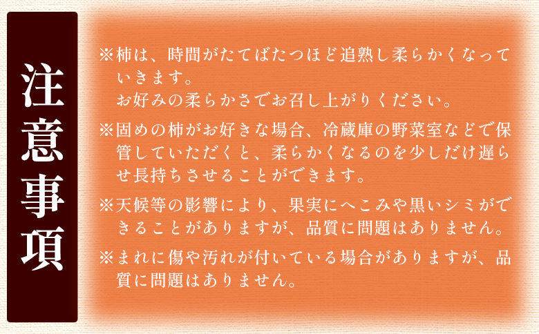 【2026年10月下旬より順次配送】次郎柿 3kg - くだもの 果物 フルーツ 柿 かき カキ ３きろ ３キロ 美味しい 高知県 香南市 nm-0003