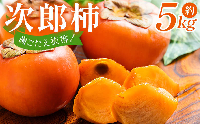 【2026年10月下旬より順次配送】次郎柿 5kg - くだもの 果物 フルーツ 柿 かき カキ 美味しい 高知県 香南市 nm-0004