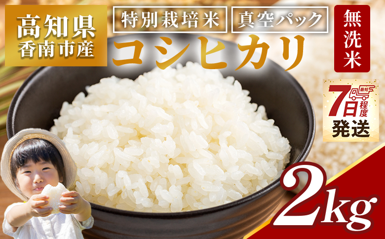 【7日程度で発送】令和7年産 コシヒカリ 無洗米 特別栽培米 真空パック 2kg - 国産 米 お米 おこめ こしひかり 白米 ごはん おにぎり おむすび ご飯 防災 非常食 備蓄 農業公社 高知県 香南市 nu-0001