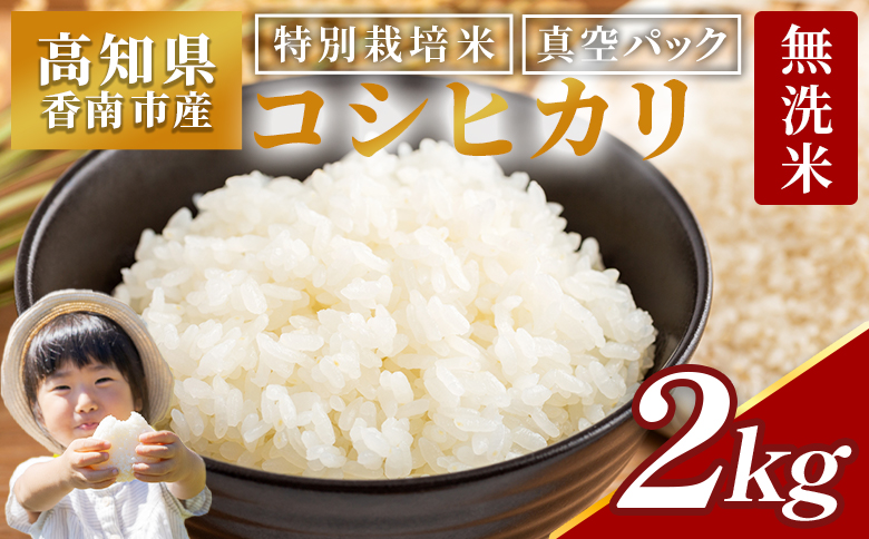 令和7年産 コシヒカリ 無洗米 特別栽培米 真空パック 2kg - 国産 米 お米 おこめ こしひかり 白米 ごはん おにぎり おむすび ご飯 防災 非常食 備蓄 農業公社 高知県 香南市 nu-0001