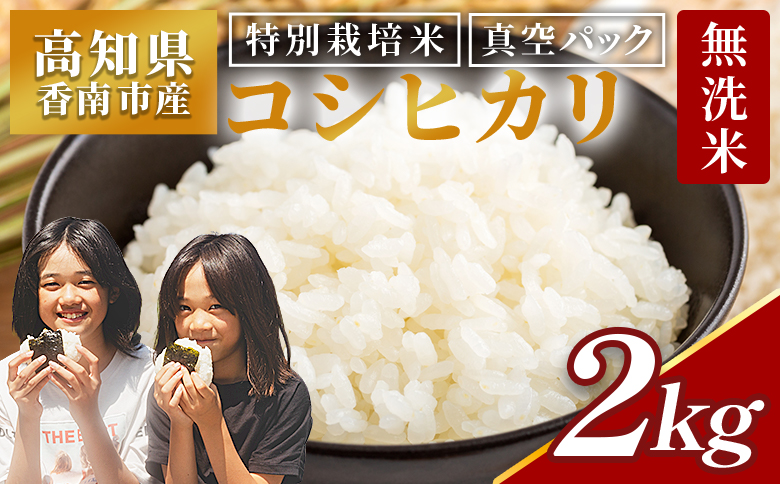 【令和8年産】コシヒカリ 無洗米 特別栽培米 真空パック 2kg - 国産 米 お米 おこめ こしひかり 白米 ごはん おにぎり おむすび ご飯 防災 非常食 備蓄 農業公社 高知県 香南市 nu-0001