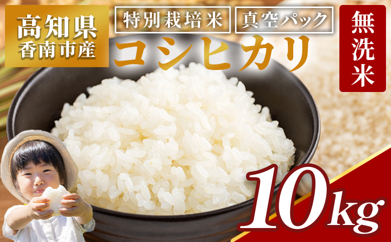 【令和7年産】無洗米 高知県香南市産 特別栽培米 真空パック コシヒカリ 10kg - 国産 米 お米 おこめ こしひかり 白米 ごはん おにぎり おむすび ご飯 農業公社 高知県 香南市 常温 nu-0004
