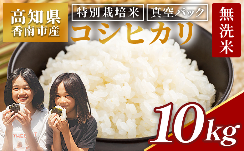 【令和8年産】無洗米 高知県香南市産 特別栽培米 真空パック コシヒカリ 10kg - 国産 米 お米 おこめ こしひかり 白米 ごはん おにぎり おむすび ご飯 農業公社 高知県 香南市 常温 nu-0004