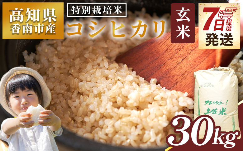 ã7æ¥çšåºŠã§çºéãç¹å¥æ œå¹ç±³ ã³ã·ãã«ãª çç±³ 30kg - åœç£ ç±³ ãç±³ ããã ããã²ãã çç±³ ãã¯ã ãã«ãã ãããã³ ã飯 æçé
é ã¹ããŒãçºé æ©ã æ©ãå±ã 蟲æ¥å
¬ç€Ÿ é«ç¥ç éŠååž åžžæž© nu-0009