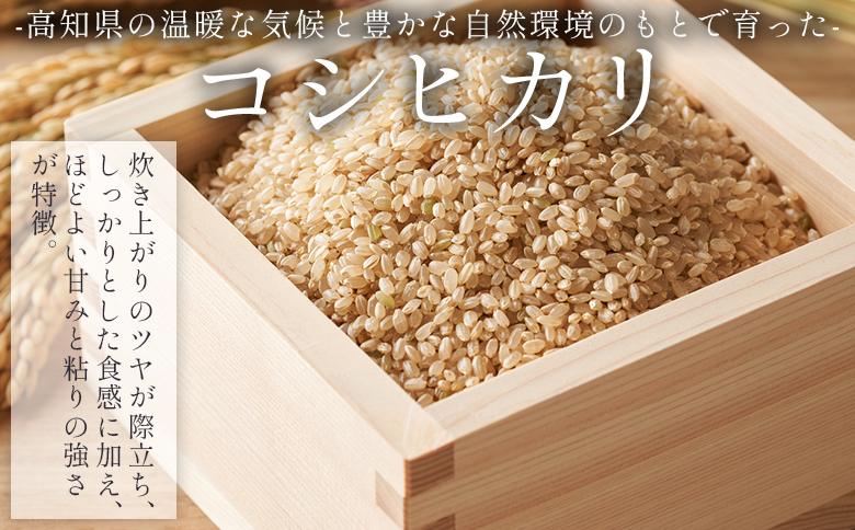 ã7æ¥çšåºŠã§çºéãç¹å¥æ œå¹ç±³ ã³ã·ãã«ãª çç±³ 30kg - åœç£ ç±³ ãç±³ ããã ããã²ãã çç±³ ãã¯ã ãã«ãã ãããã³ ã飯 æçé
é ã¹ããŒãçºé æ©ã æ©ãå±ã 蟲æ¥å
¬ç€Ÿ é«ç¥ç éŠååž åžžæž© nu-0009