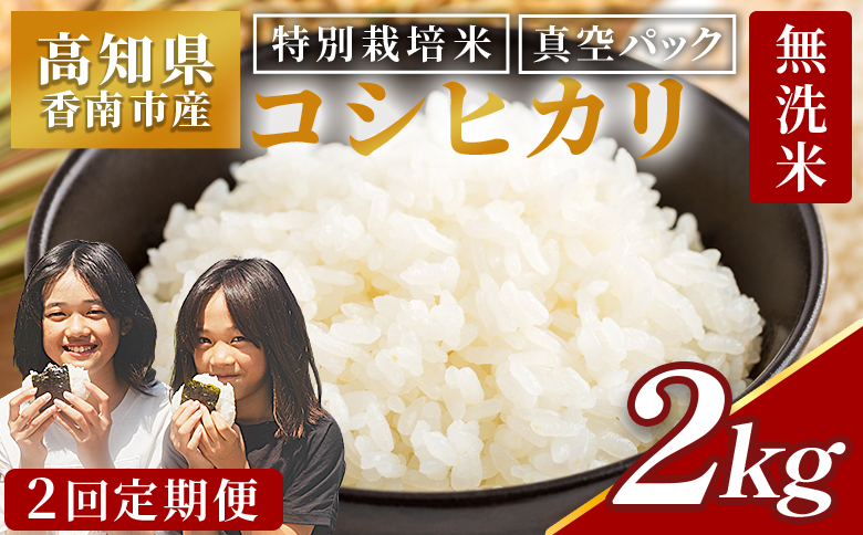 【２回定期便】令和8年産 高知県香南市産 特別栽培米 コシヒカリ 2kg - 国産 米 お米 こしひかり 白米 ごはん おにぎり ご飯 防災 非常食 備蓄 農業公社 高知県 香南市 常温 Wnu-0006