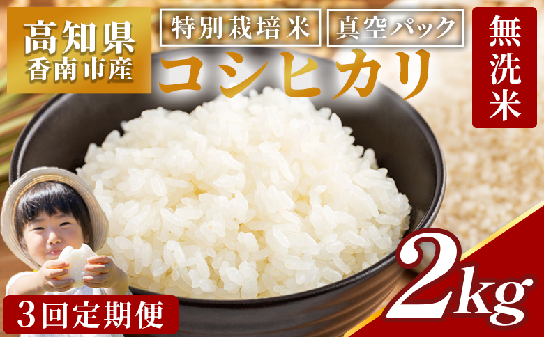 【3回定期便】令和7年産 高知県香南市産 特別栽培米 コシヒカリ 2kg - 国産 米 お米 2キロ こしひかり 白米 どうぞ ごはん おにぎり ご飯 防災 非常食 備蓄 kome 高知県 香南市 常温 Wnu-0011