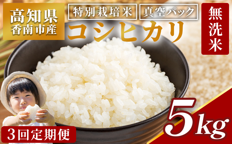 【3回定期便】令和7年産 高知県香南市産 特別栽培米 コシヒカリ 5kg - 国産 米 お米 2キロ こしひかり 白米 どうぞ ごはん おにぎり ご飯 防災 非常食 備蓄 kome 高知県 香南市 常温 Wnu-0012